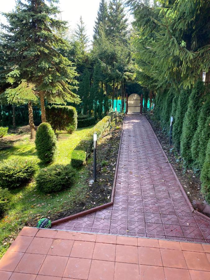 Vila Phoenix Aparthotel Predeal Εξωτερικό φωτογραφία
