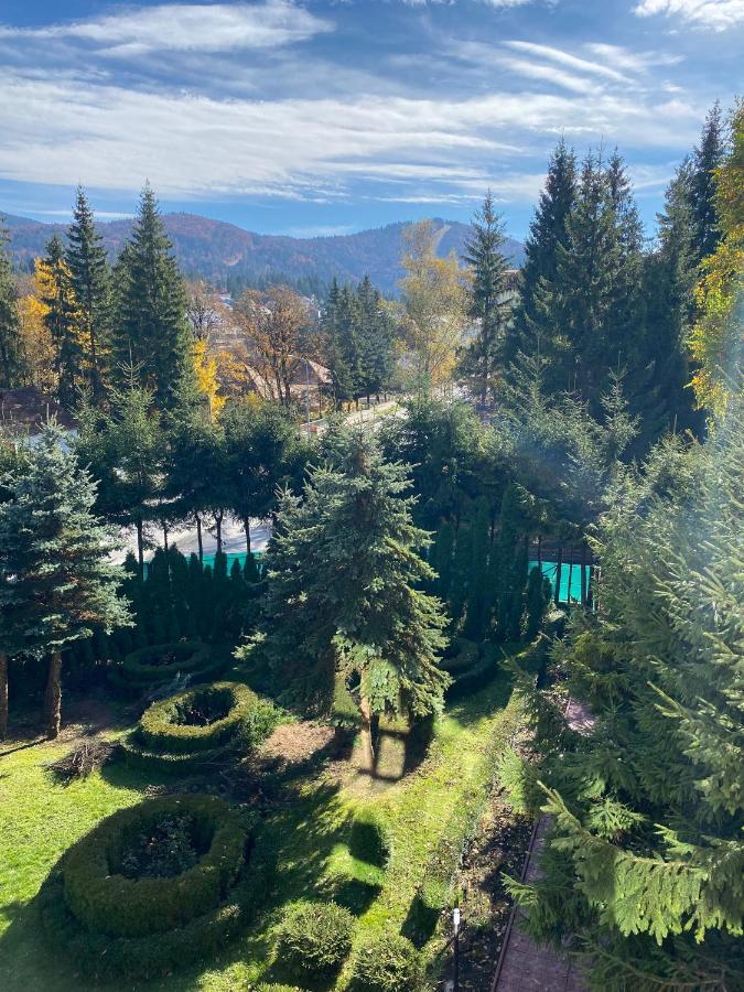 Vila Phoenix Aparthotel Predeal Εξωτερικό φωτογραφία